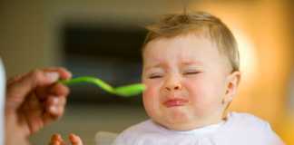 Il refuse de manger : quelques conseils